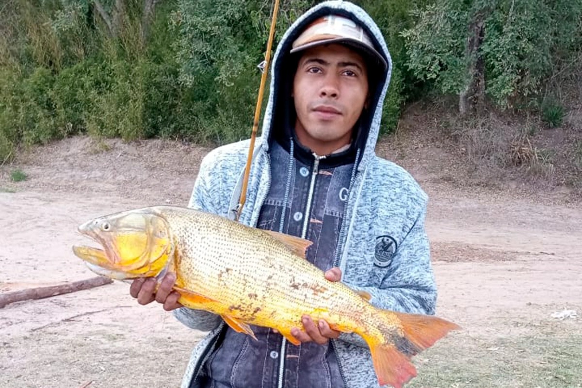 Buscan a un joven de 20 años que no regresó a su casa en La Paz